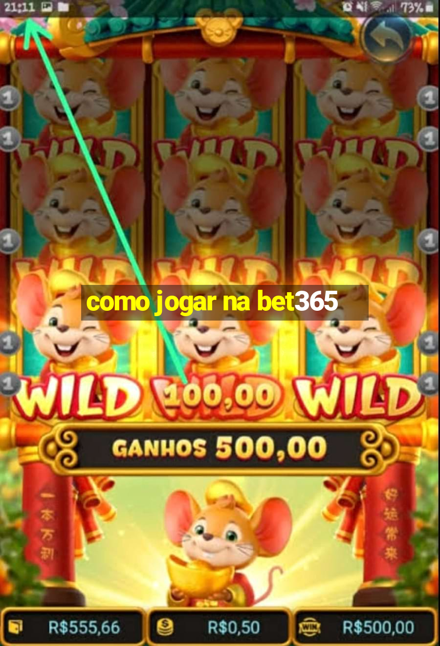 como jogar na bet365