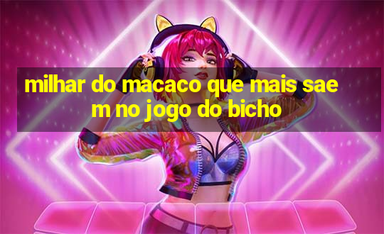 milhar do macaco que mais saem no jogo do bicho