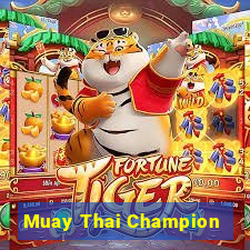 Muay Thai Champion