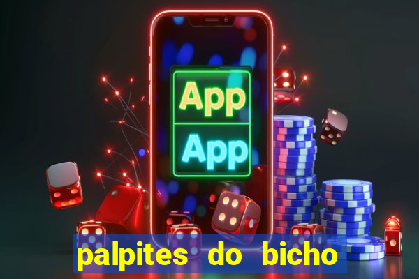 palpites do bicho no celular