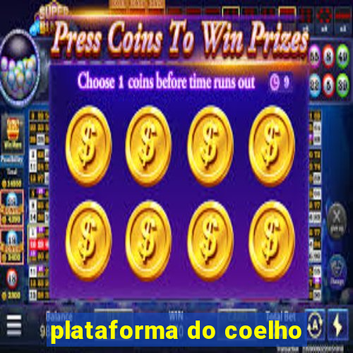 plataforma do coelho