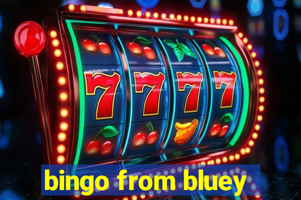 bingo from bluey