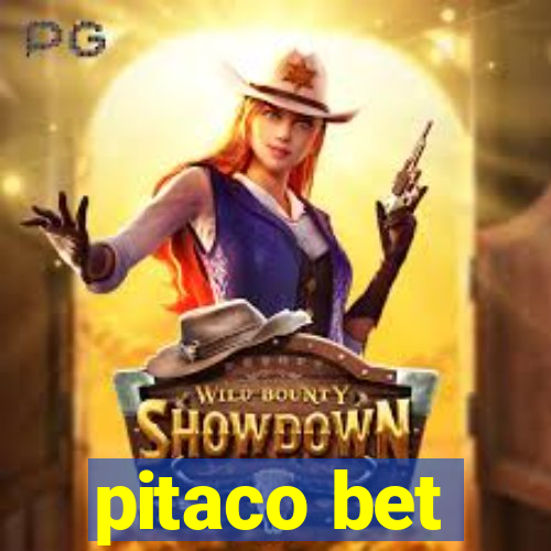 pitaco bet