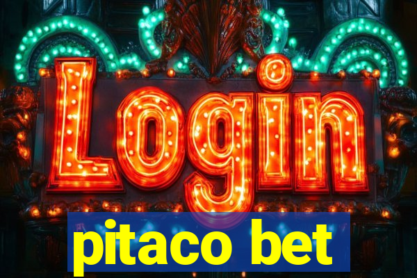 pitaco bet