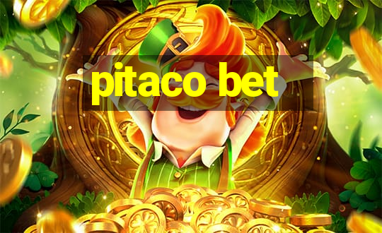 pitaco bet