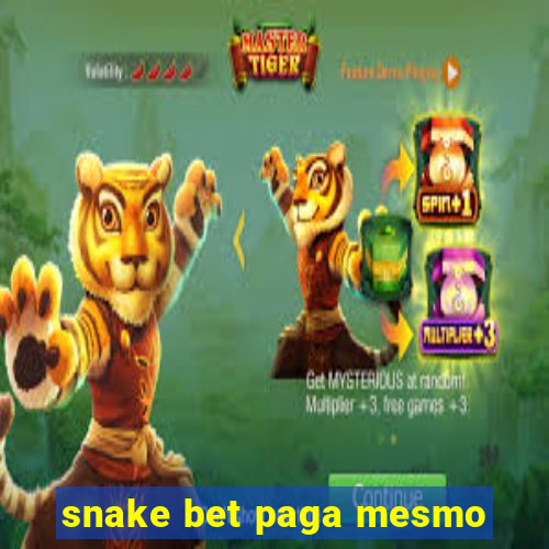 snake bet paga mesmo