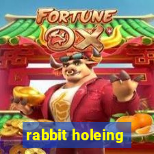 rabbit holeing