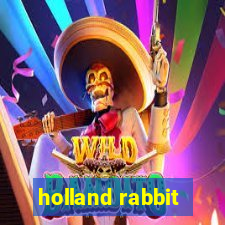 holland rabbit