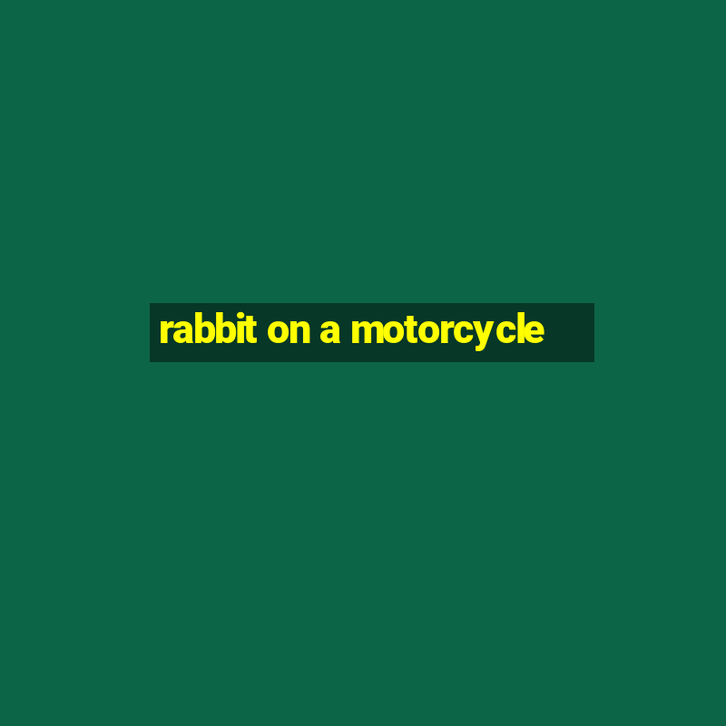 rabbit on a motorcycle