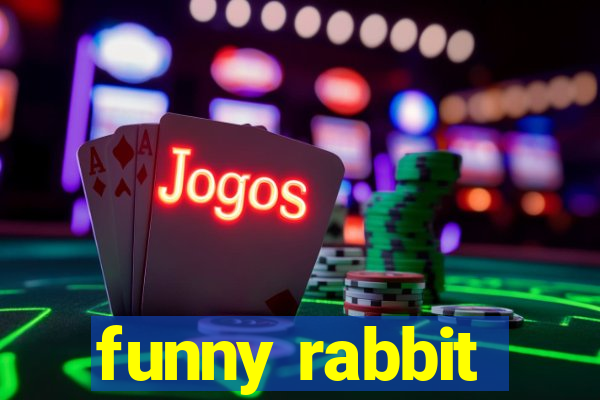 funny rabbit