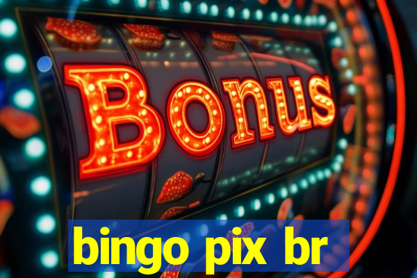 bingo pix br