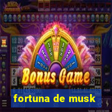 fortuna de musk