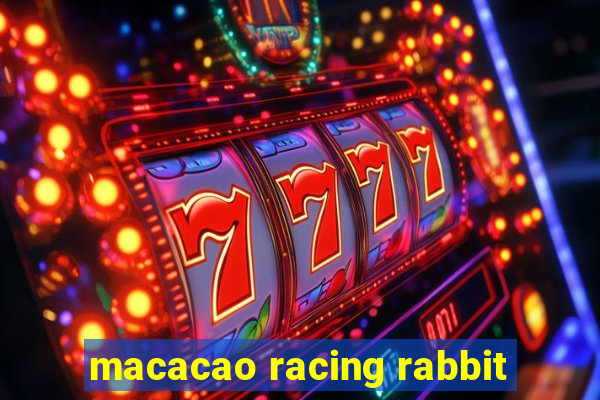 macacao racing rabbit