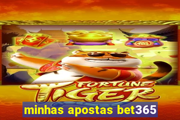 minhas apostas bet365