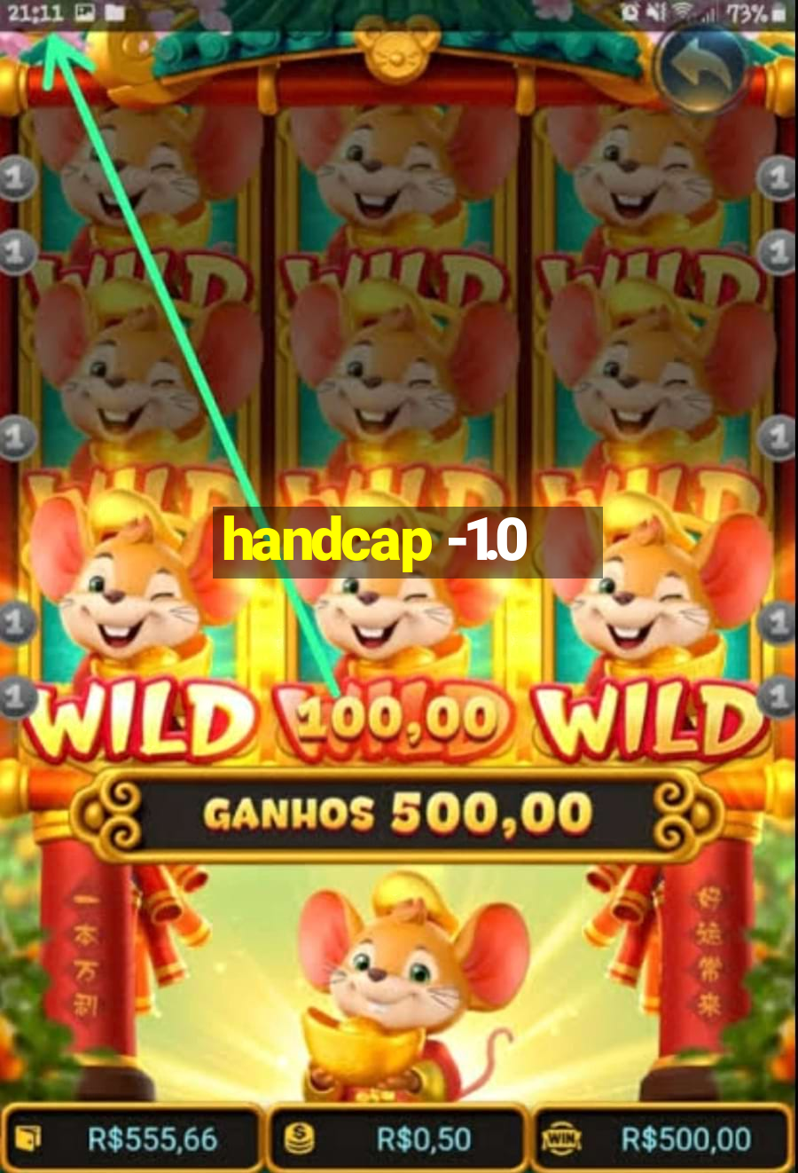 handcap -1.0