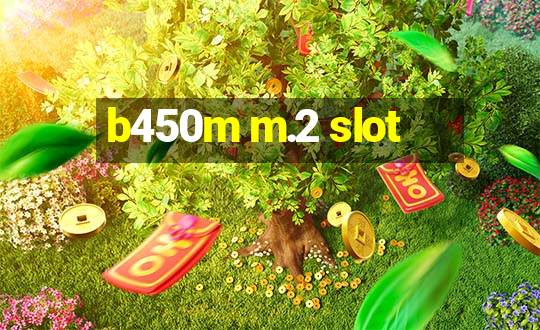 b450m m.2 slot