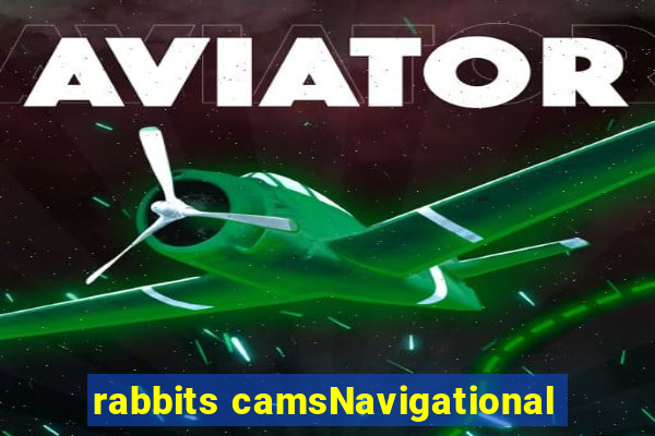 rabbits camsNavigational