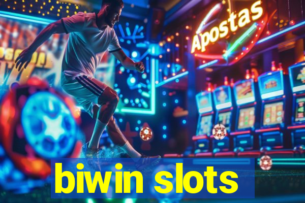 biwin slots