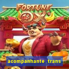 acompanhante trans santos sp