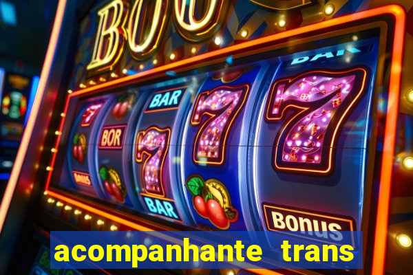 acompanhante trans santos sp