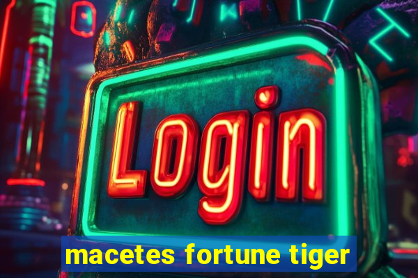 macetes fortune tiger