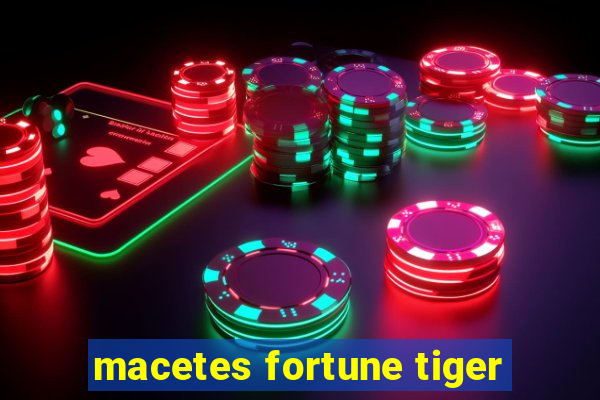 macetes fortune tiger