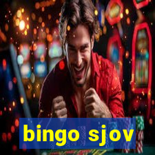 bingo sjov