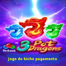 jogo do bicho pagamento