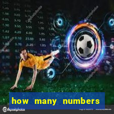 how many numbers in bingo