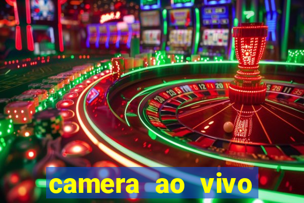 camera ao vivo terminal vila nova cachoeirinha