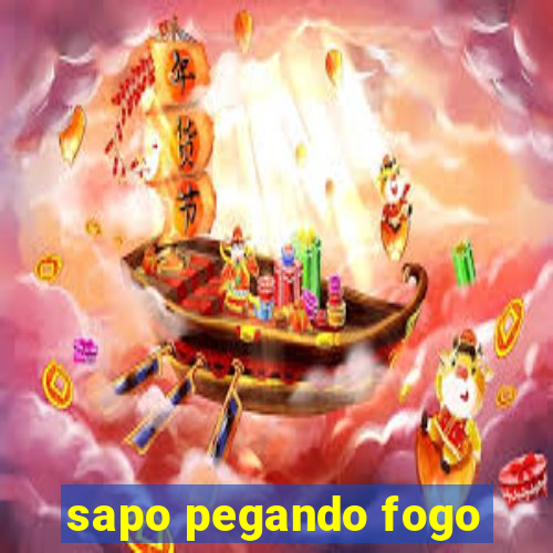 sapo pegando fogo