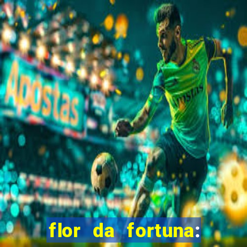 flor da fortuna: como cuidar