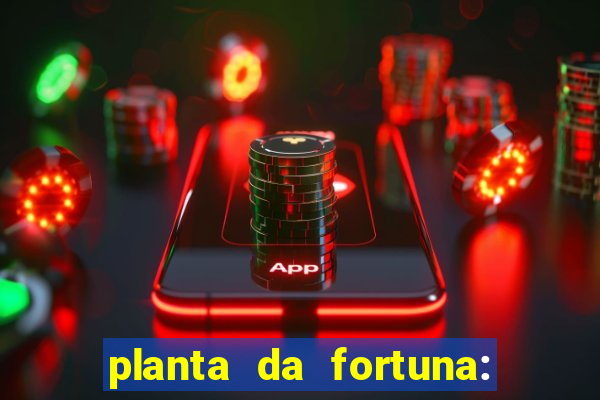 planta da fortuna: como cuidar