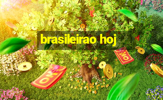 brasileirao hoj