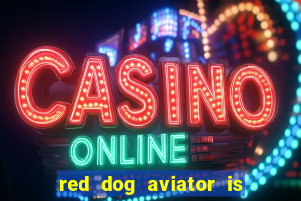 red dog aviator is real or fake