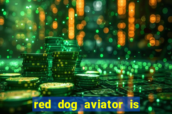 red dog aviator is real or fake