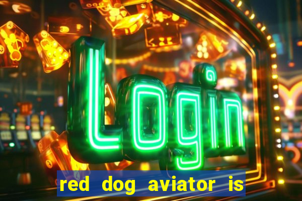 red dog aviator is real or fake