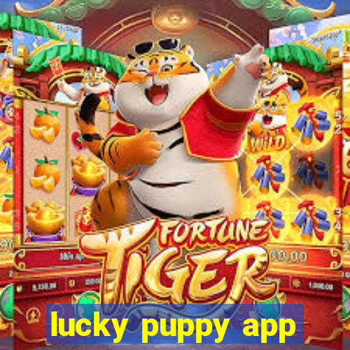 lucky puppy app