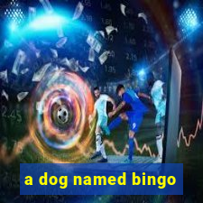 a dog named bingo