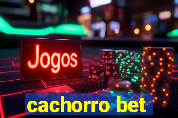 cachorro bet