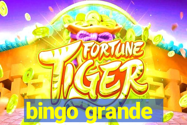 bingo grande