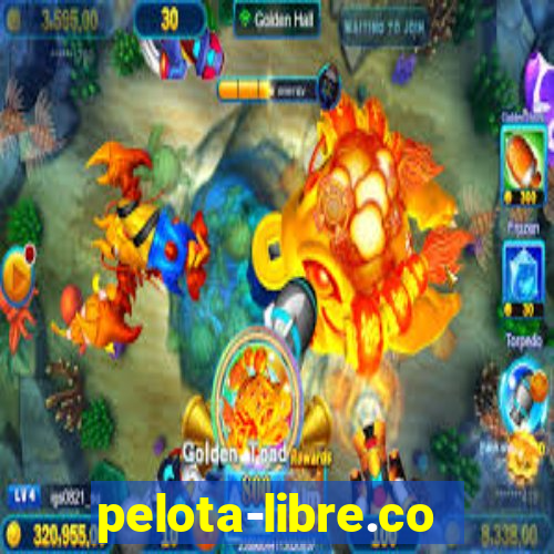 pelota-libre.com