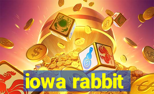 iowa rabbit