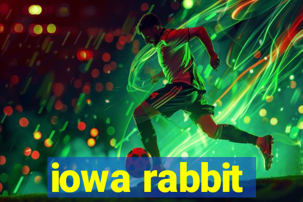 iowa rabbit