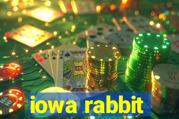 iowa rabbit