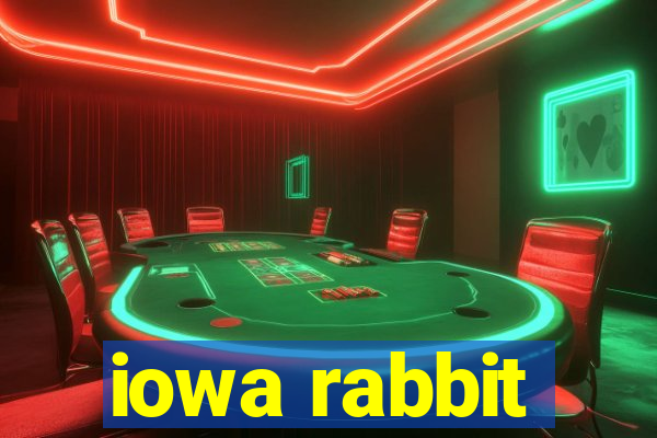 iowa rabbit