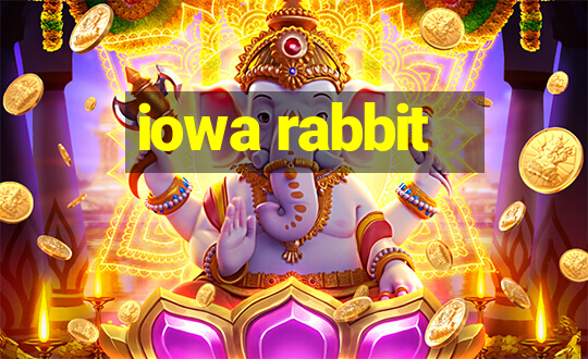 iowa rabbit