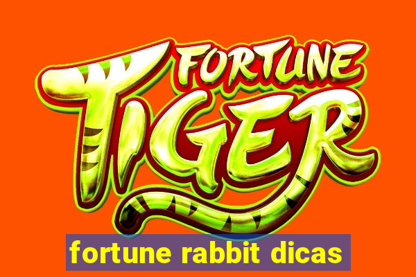 fortune rabbit dicas