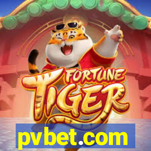 pvbet.com