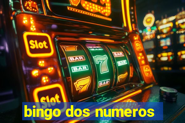 bingo dos numeros